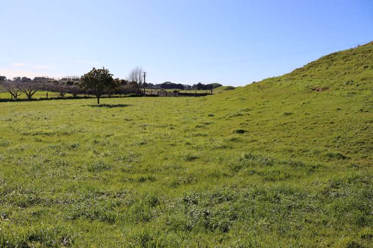 1758 Mountain Road Inglewood_15