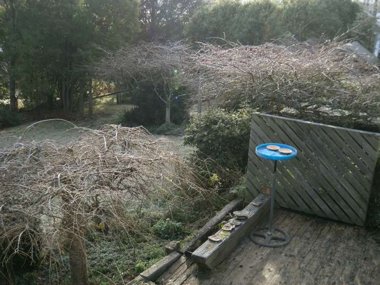 250a Clyde Street Balclutha_23