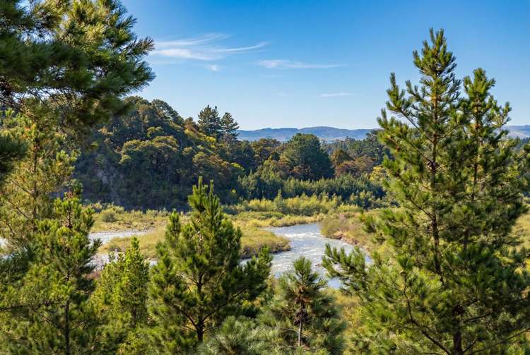 433A Waiohine Gorge Road Carterton_29