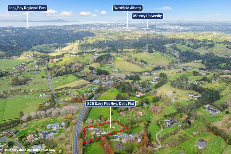 825 Dairy Flat Highway Dairy Flat_12