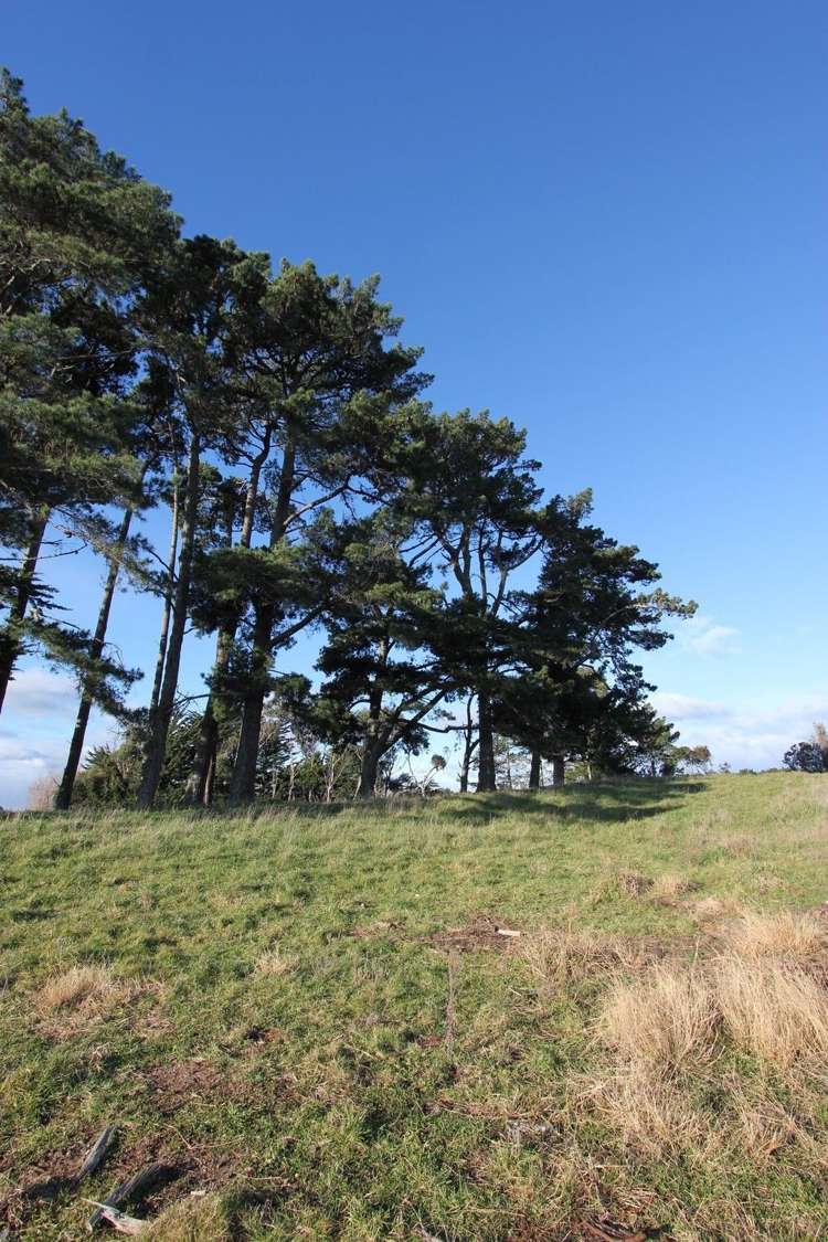 539 Kellow Road Glen Oroua_7