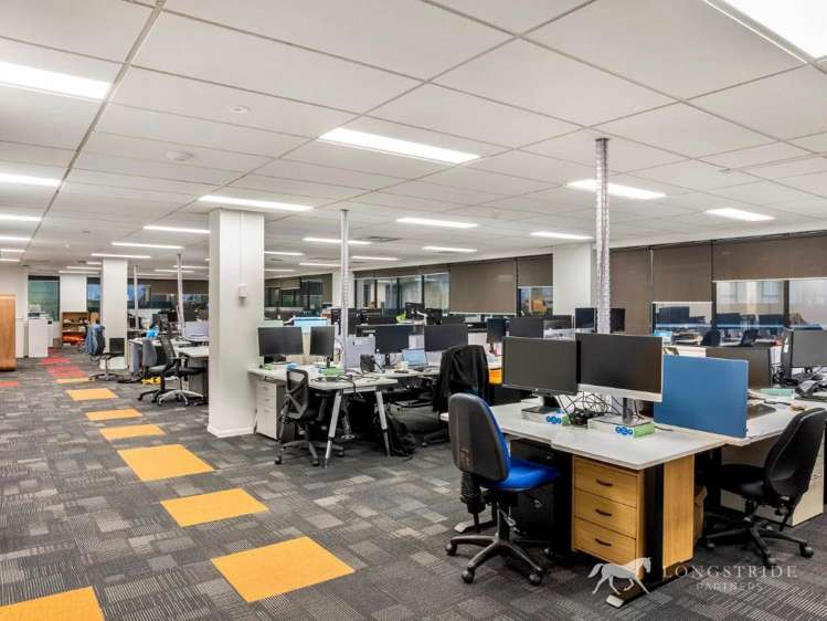 100 Carlton Gore Road Newmarket_2