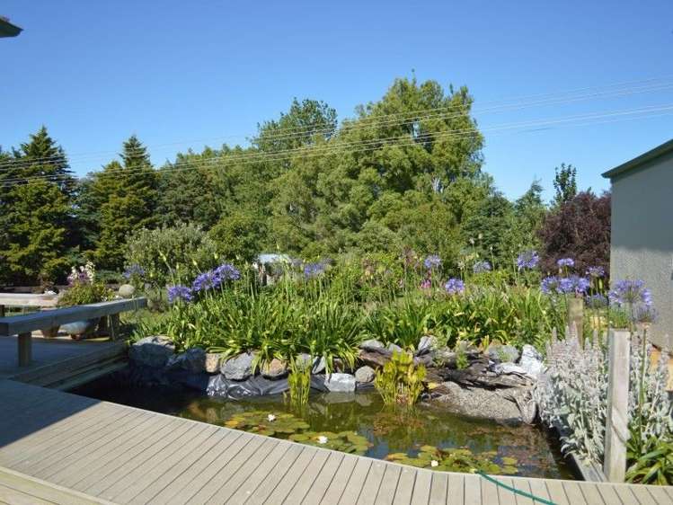 55a Parrs Road Bunnythorpe_18