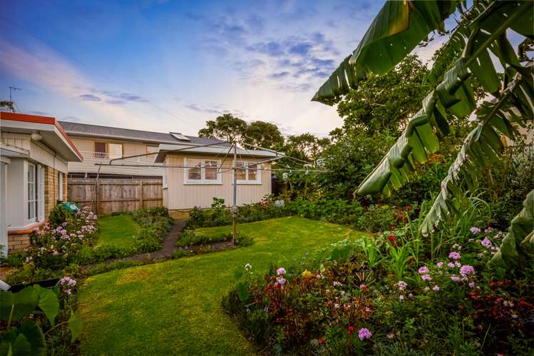 187 Hillsborough Road Hillsborough_16