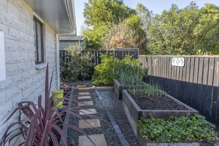30a Park Avenue Masterton_21