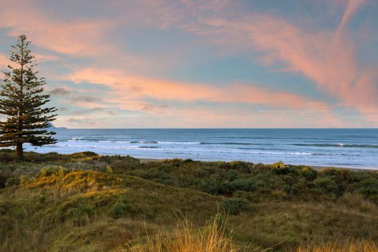 380 Ocean Road Ohope_17