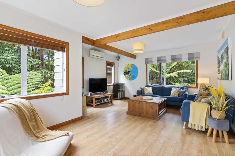 5 Kitewaho Road Swanson_6