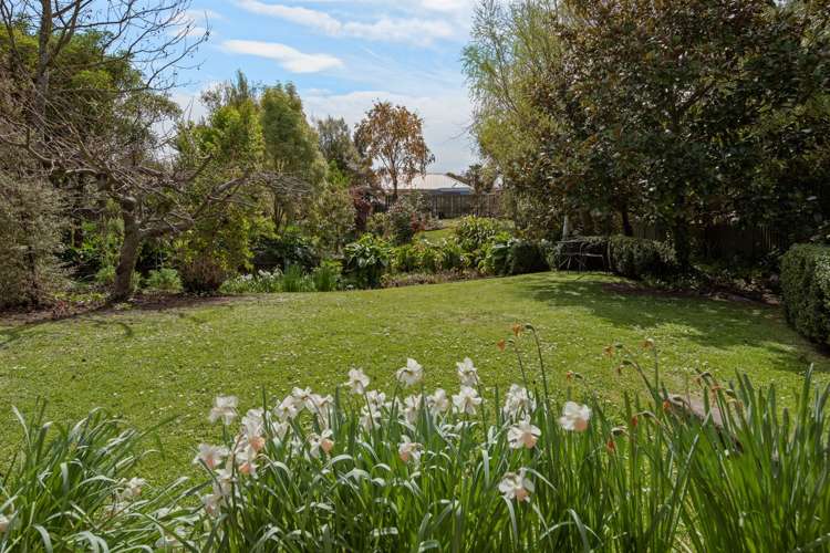 6b Battys Road Springlands_23