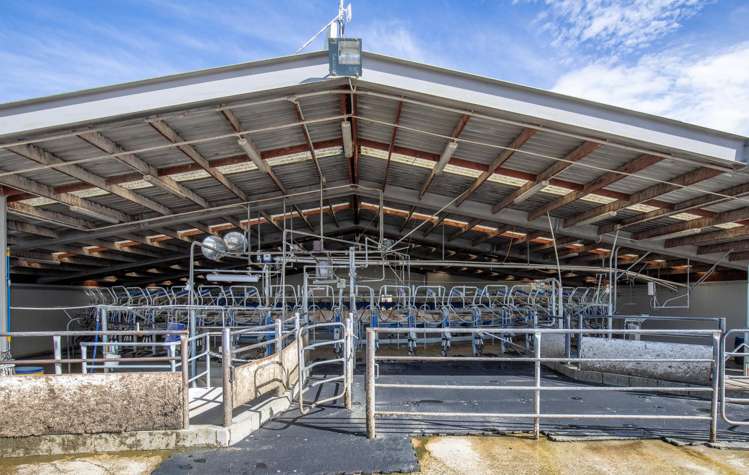 263 Puketoi Runs Road Puketoi_12