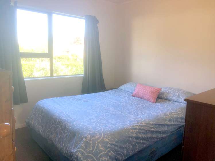 16 Holt Place Waipukurau and Surrounds_8