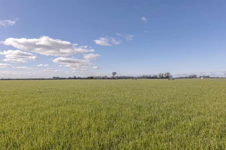 Cryers Road Southbridge_5