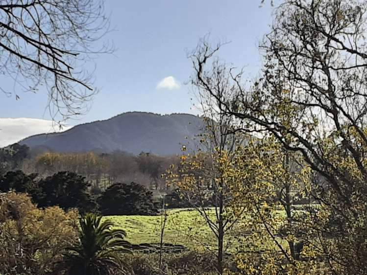Oneriri Road Kaiwaka Kaipara Houses for Sale One Roof