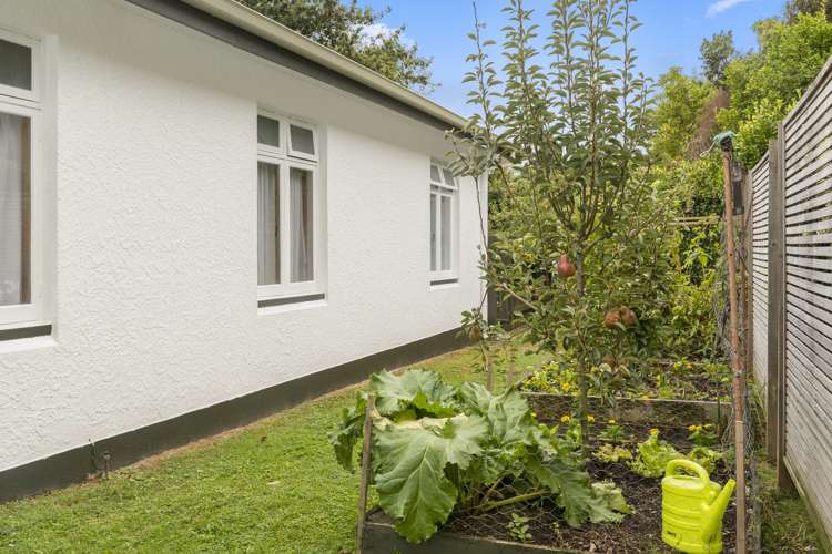 73 Waihi Road Judea_19