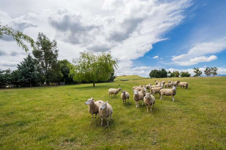 1981 Omakau-Chatto Creek Road Alexandra_26