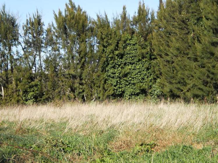 117 Rea Road Hauraki Surrounds_10