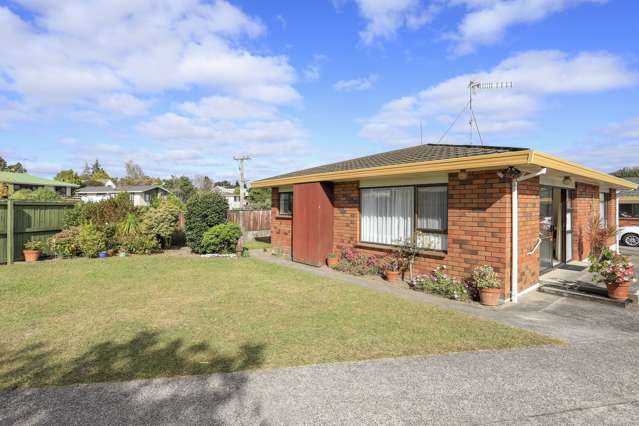 161a Boucher Avenue Te Puke_1