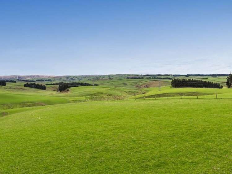 1680 Mahinerangi Road Waipori_30