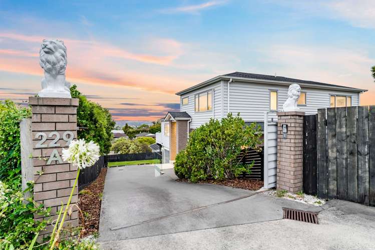 229a Saint Johns Road Saint Johns_19