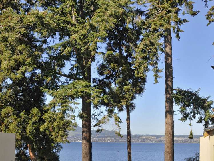 1/874 Acacia Bay Road Acacia Bay_22