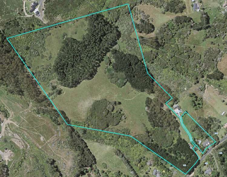 162 Ara-Kotinga Whitford_23