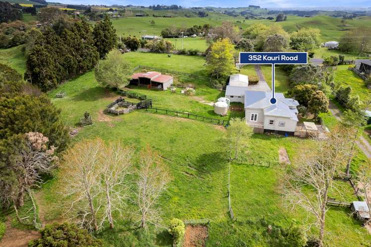 352 Kauri Road Onewhero_24