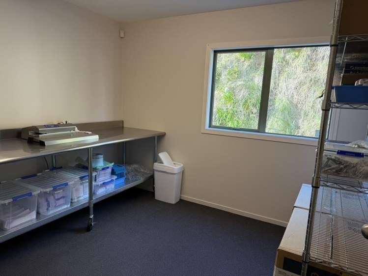 1a Sunley Street, Westown Westown_7
