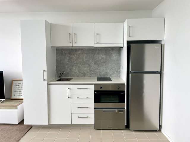 4M/80 Richmond Road Grey Lynn_3