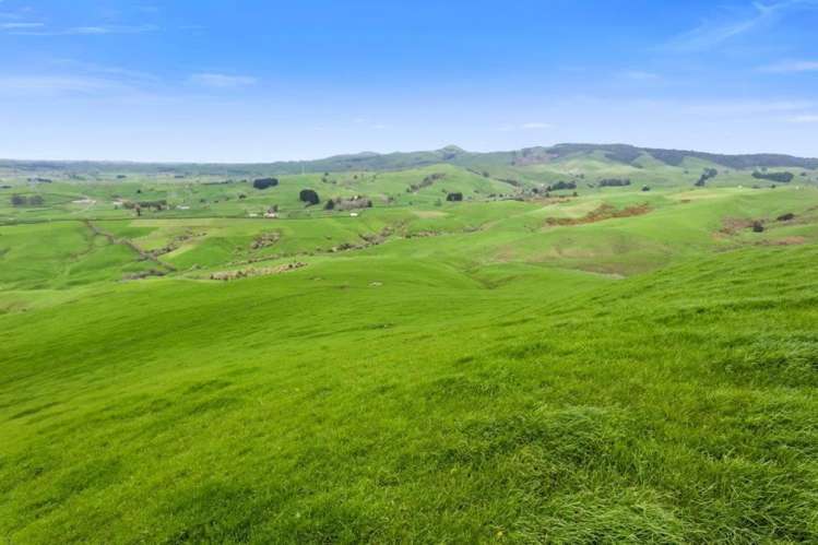 500 Tahuroa Road Tauwhare_31