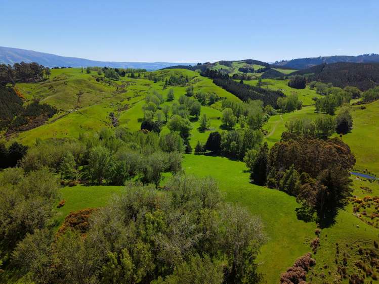 66 Otokia-Kuri Bush Road West Henley_32