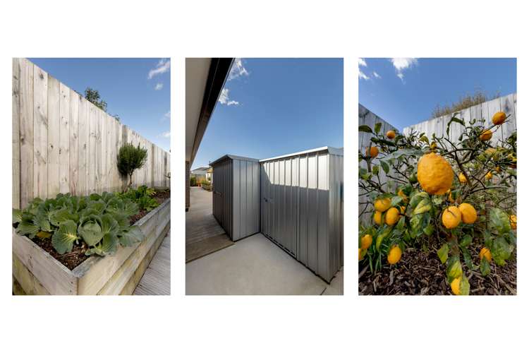 28 Leet Crescent Papamoa_4