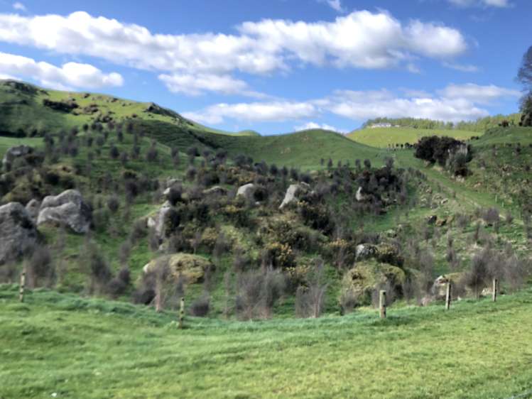 428 Whatauri Road Wharepapa South_26