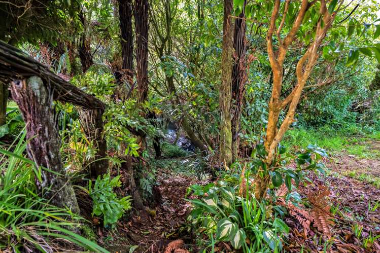 33 Nikau Street Inglewood_21