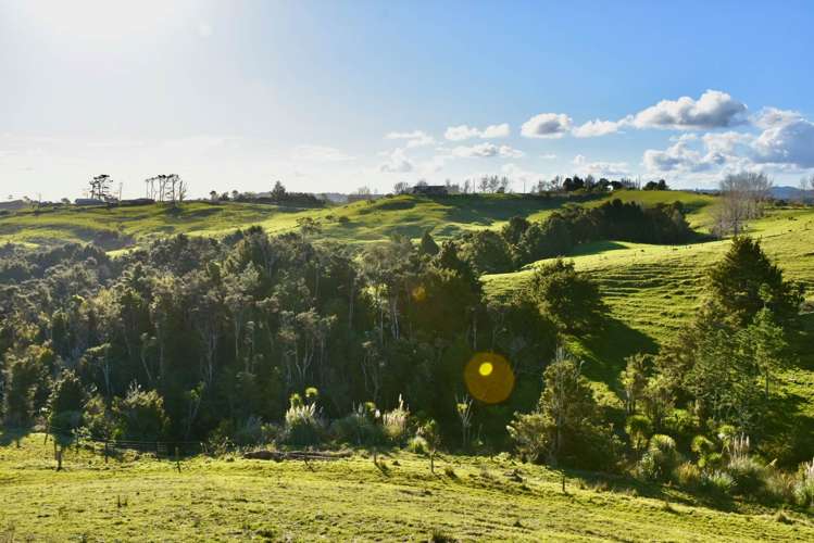 54 Syd Smith Road Oruawharo_6