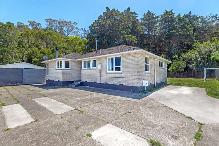 22 Halley Street Outer Kaiti_0