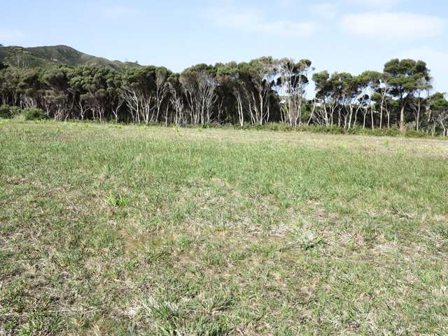 9 Banyan Road Karikari Peninsula_1