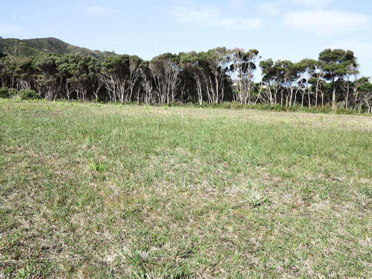 9 Banyan Road Karikari Peninsula_1