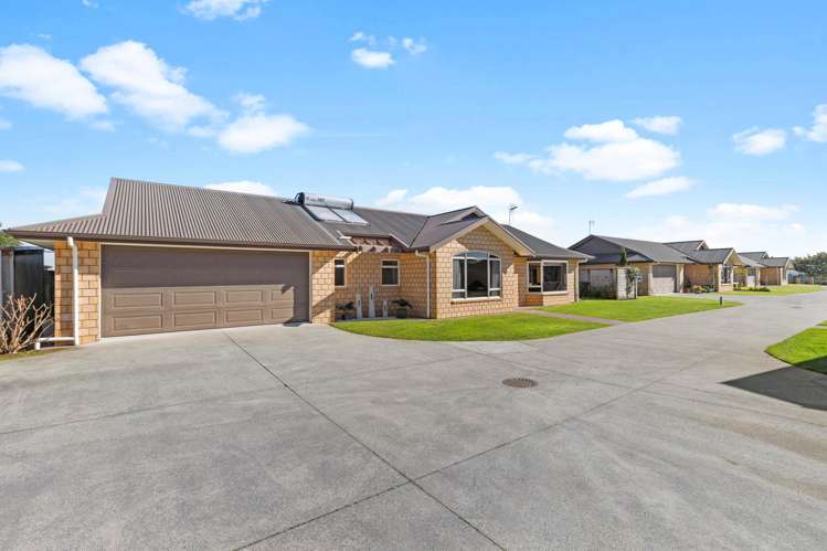 372E Thames Street Morrinsville_15