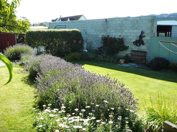 49 Ashworth Street Alexandra_17