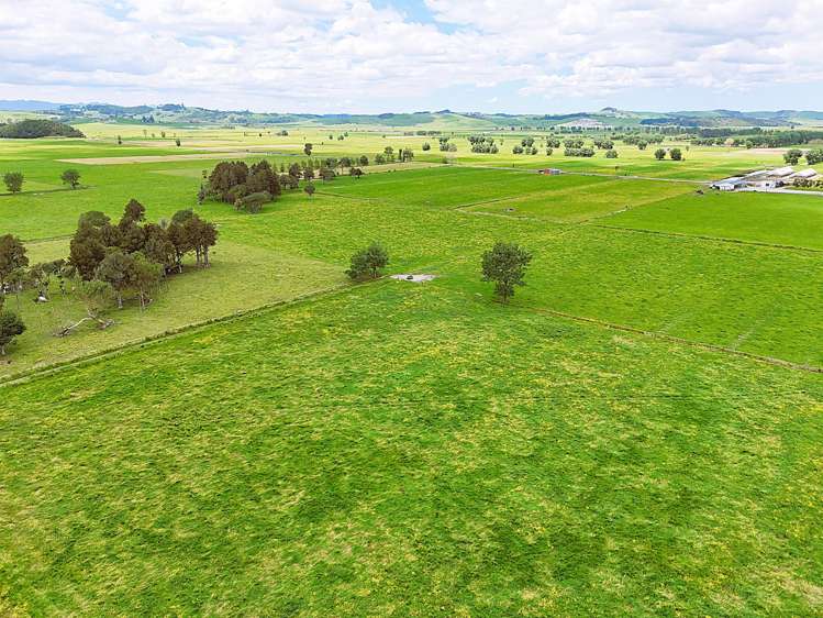 87 Tramline Road Ruawai_18