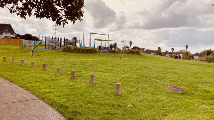 38 Earnslaw Crescent Clover Park_21