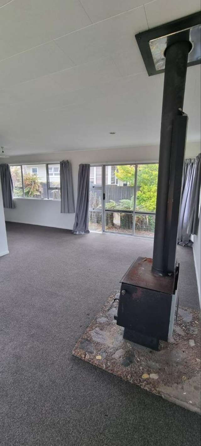 45 Collie Drive Pukehangi_1