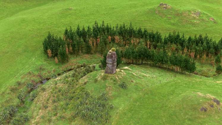 1161 State Highway 5 Hamurana_22