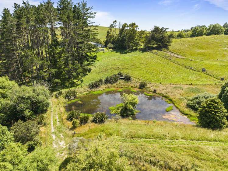 113 Wayby Station Road Wellsford_38