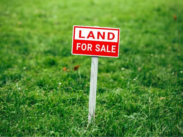 Lot 31-52 Coptic Terrace Pokeno_2