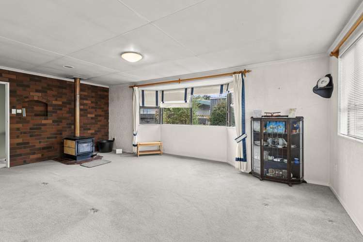 7 Pain Street Bulls_6