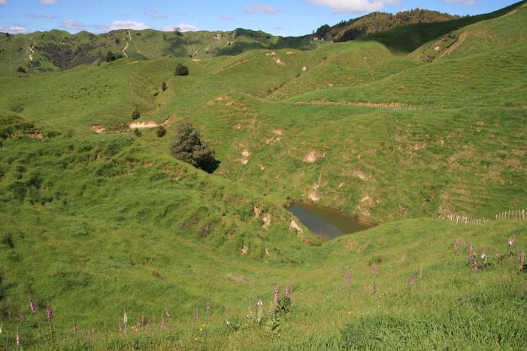 5 Marco Road Ruapehu-King Country Surrounds_5