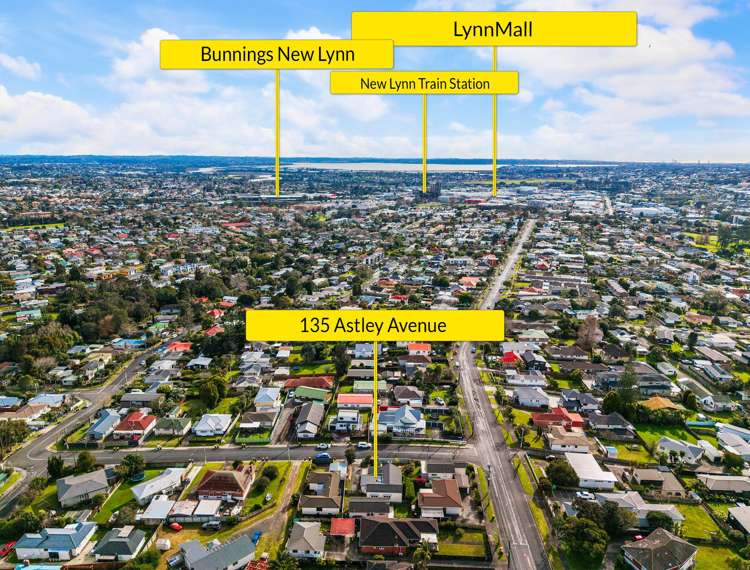 135 Astley Avenue New Lynn_21