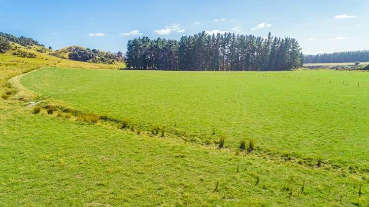 219 Te Kanuka Road Masterton_10