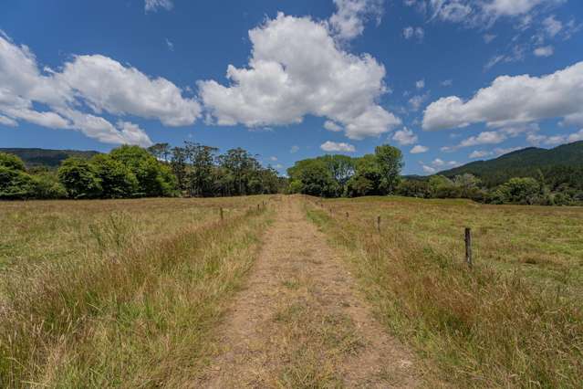 106 State Highway 25 Otapaurau_4