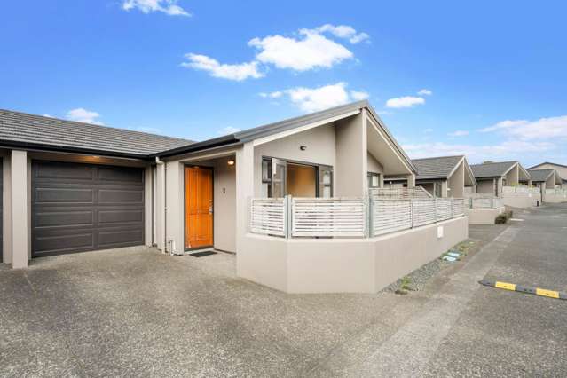 58/8 Landscape Road Papatoetoe_2